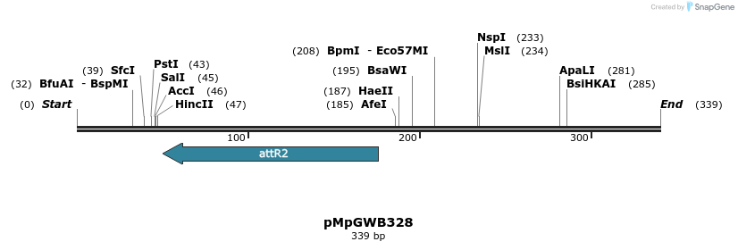 128428_map