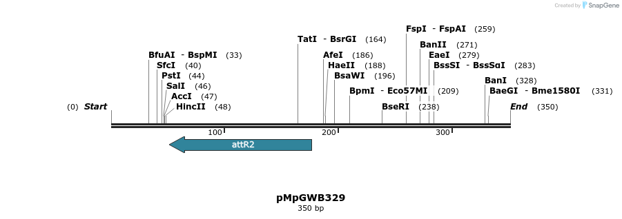 128431_map