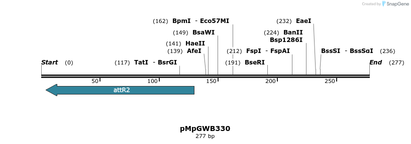 128432_map