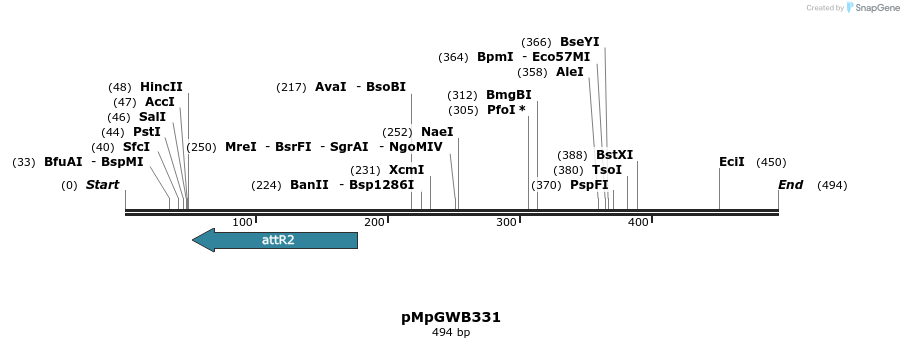 128433_map