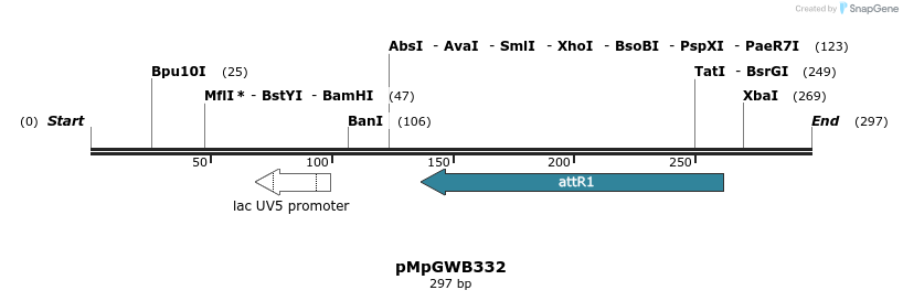 128436_map