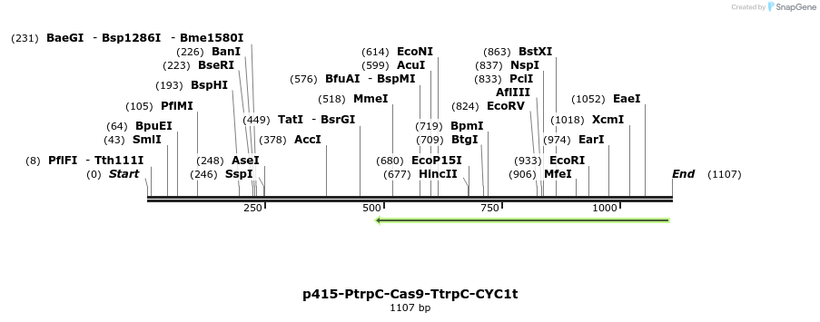 128437_map