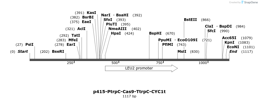 128439_map
