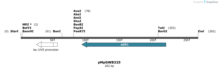 128443_map