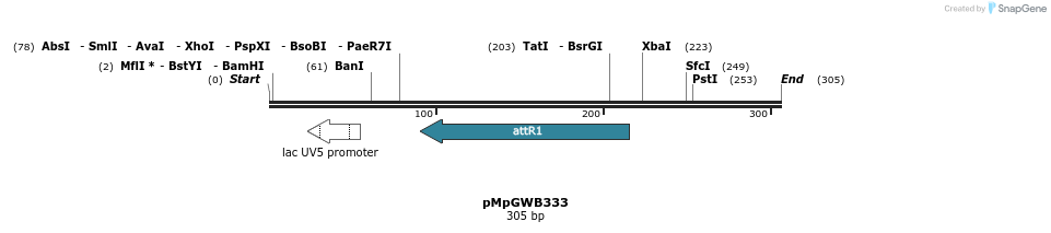 128448_map