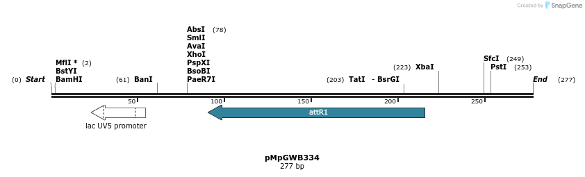 128449_map