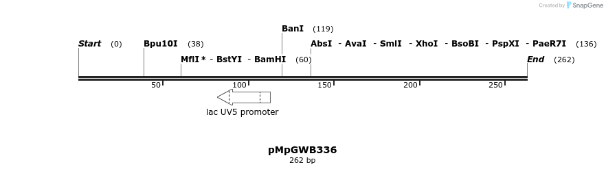 128455_map