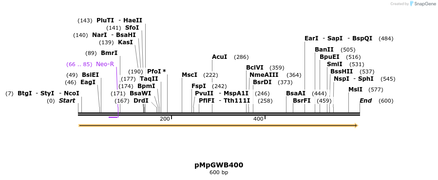 128458_map
