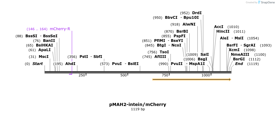 128460_map