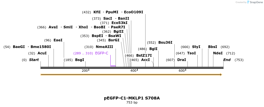 128467_map