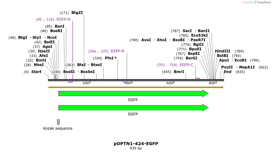 128471_map