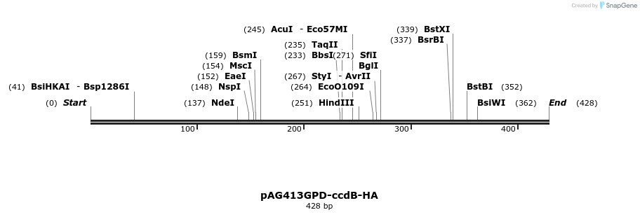 128473_map
