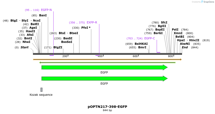 128476_map