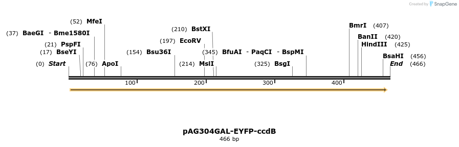 128478_map
