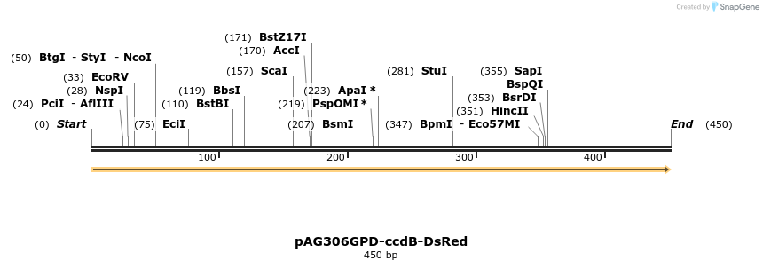 128479_map