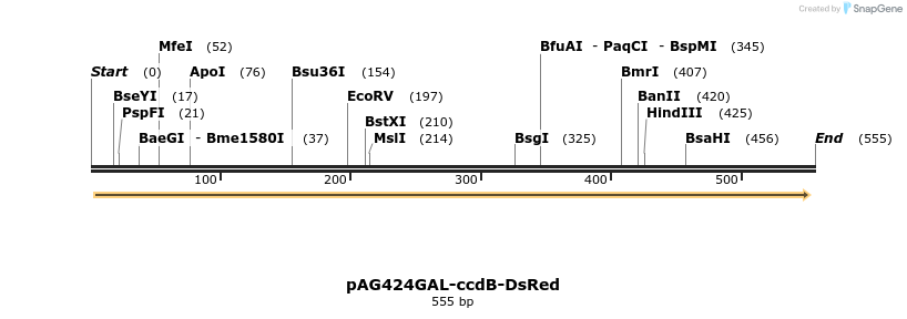 128480_map