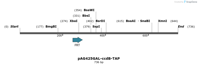128483_map