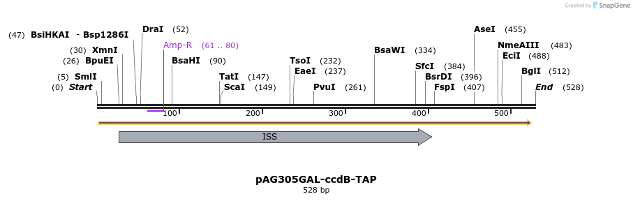 128491_map