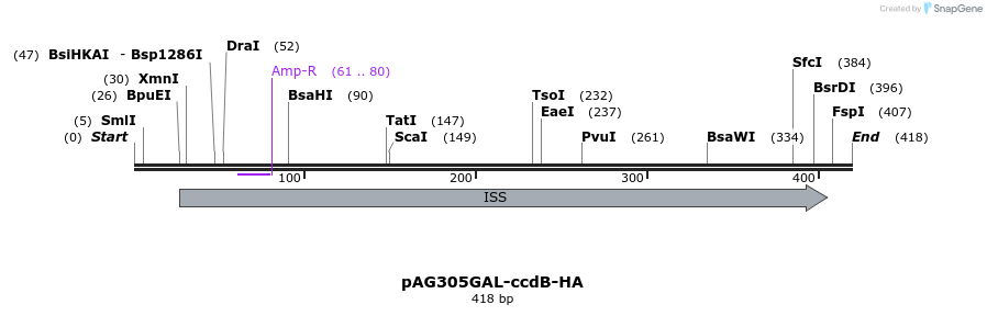 128497_map