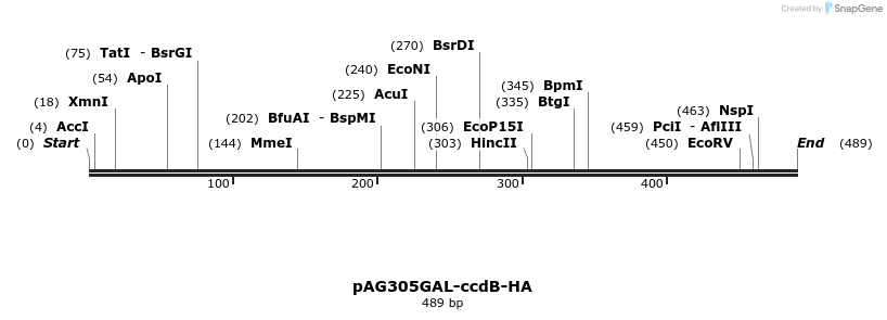 128498_map