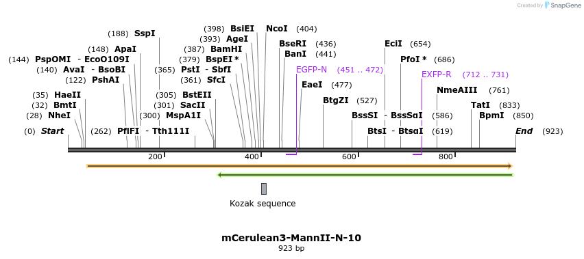 128509_map