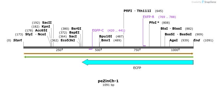 128511_map