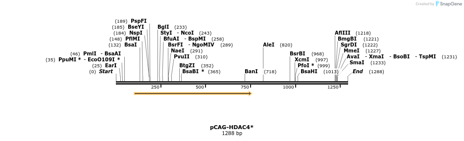 128513_map