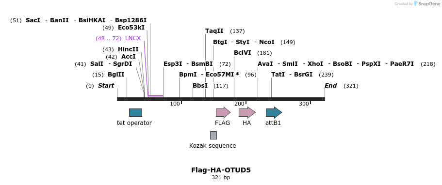 128518_map