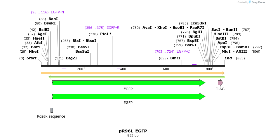128520_map