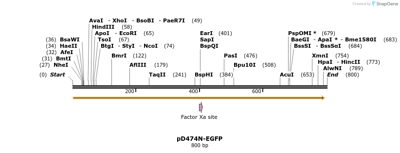 128521_map