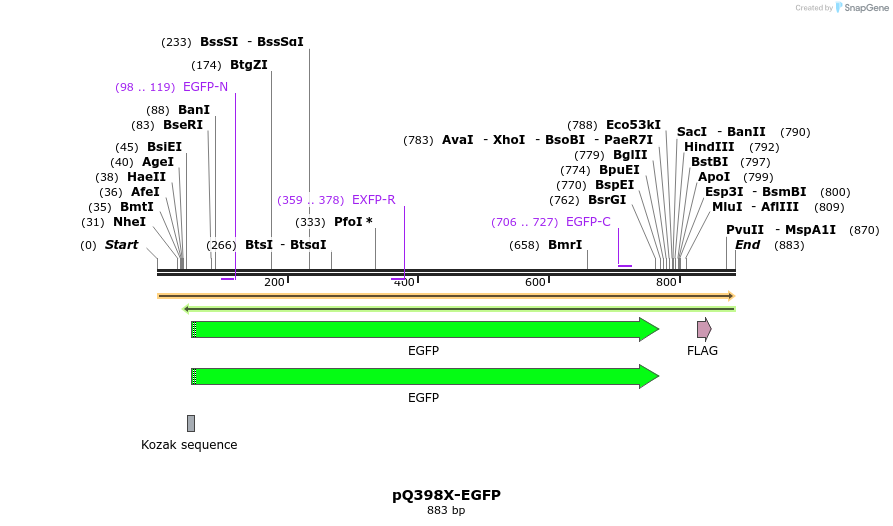 128523_map