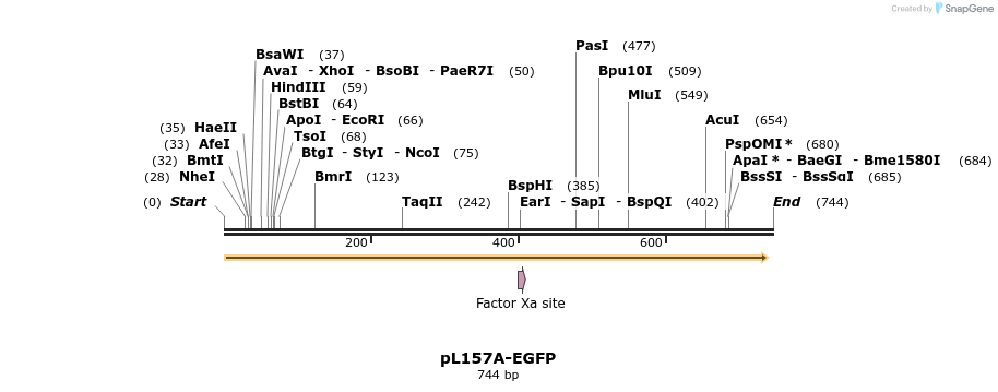128525_map