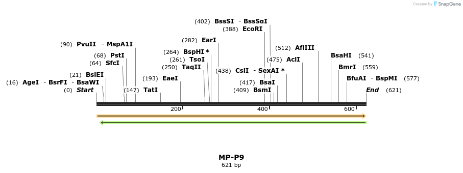 128526_map