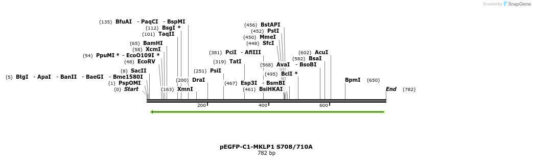 128535_map