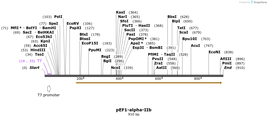 128536_map
