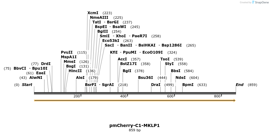 128540_map