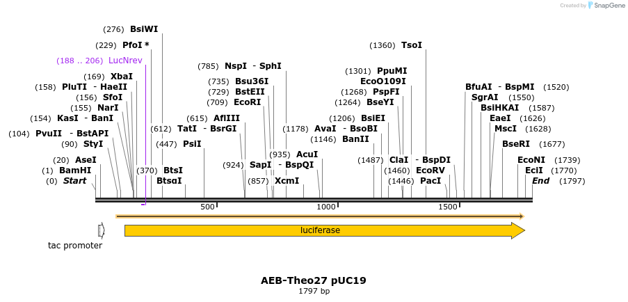 128541_map