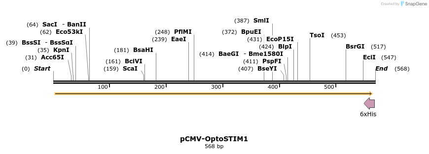 128547_map