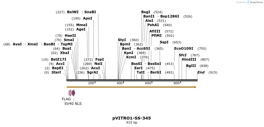 128557_map