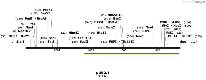 128558_map