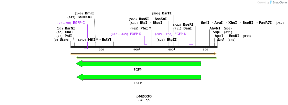 128560_map