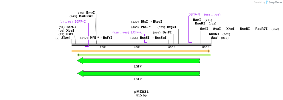 128563_map