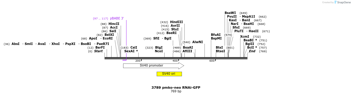 128565_map