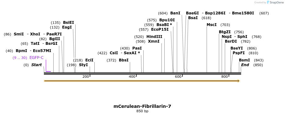 128571_map