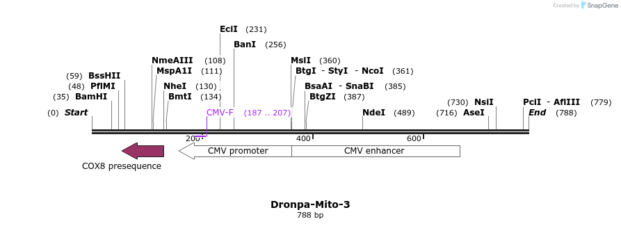 128578_map