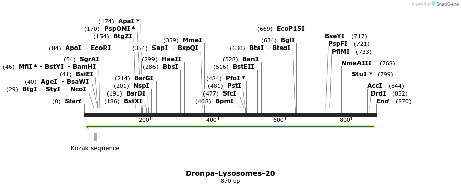 128579_map