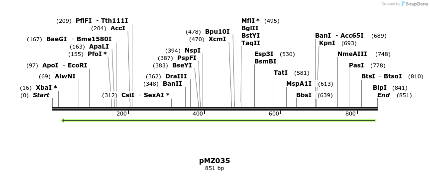 128591_map