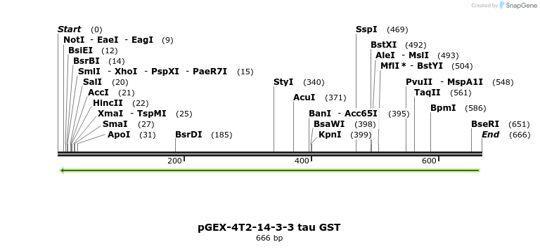 128594_map