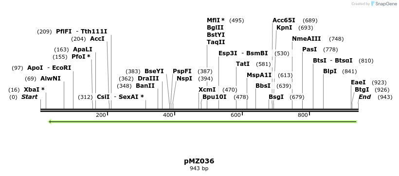 128602_map