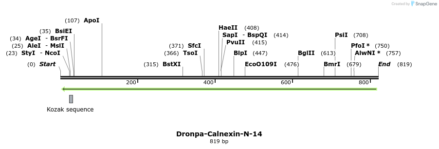 128605_map